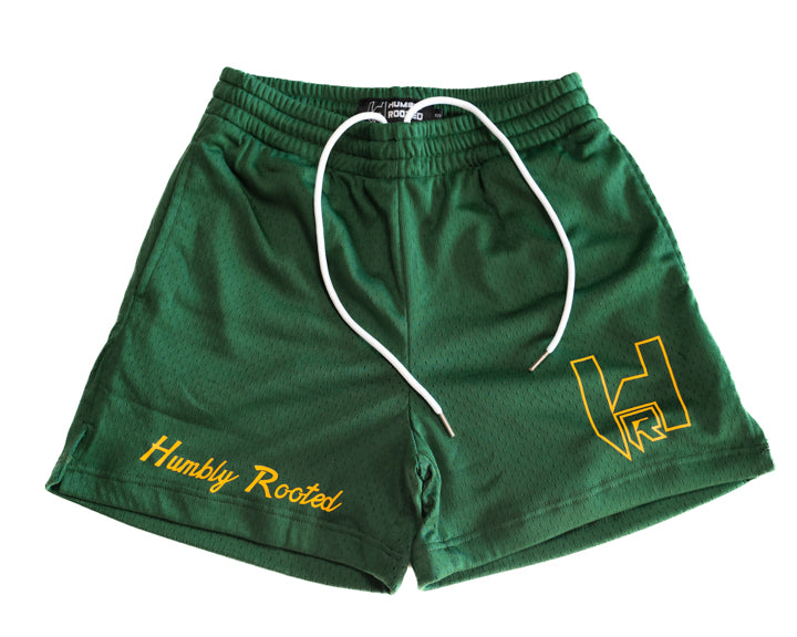 Green Standard Mesh Shorts